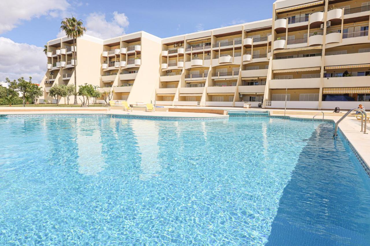 Palmeira Gale - Wifi - Pool - Lux - By Bedzy Apartmán